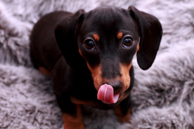 Emily | February 2012. Photo by: Johnny Ortez-Tibbels