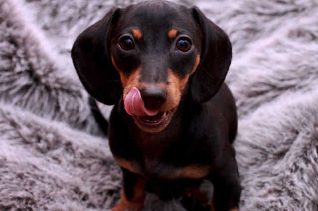 Emily | February 2012. Photo by: Johnny Ortez-Tibbels