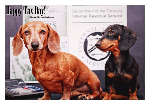 Rufus & Emily | April 2012.  Photo by: Johnny Ortez-Tibbels ©