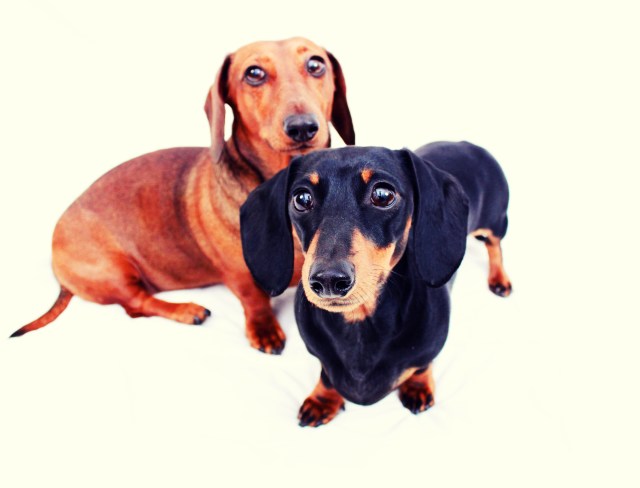 Cuba & Havana | April 2011.  Photo by: Johnny Ortez-Tibbels 