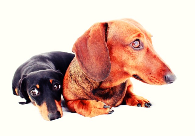 Cuba & Havana | April 2011.  Photo by: Johnny Ortez-Tibbels 