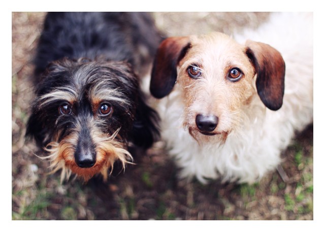 Griz & Wes | December 2012.  Photo by: Johnny Ortez-Tibbels 