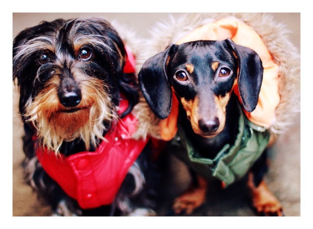 Griz & Emily | December 2012.  Photo by: Johnny Ortez-Tibbels 