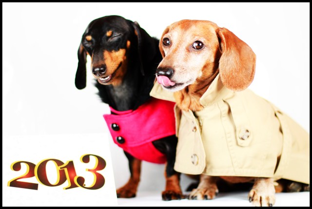 Emily & Rufus | December 31, 2012.  Photo by: Johnny Ortez-Tibbels 