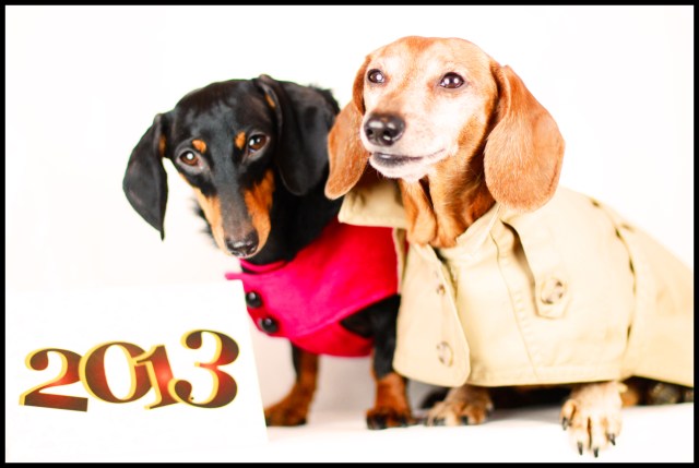 Emily & Rufus | December 31, 2012.  Photo by: Johnny Ortez-Tibbels 