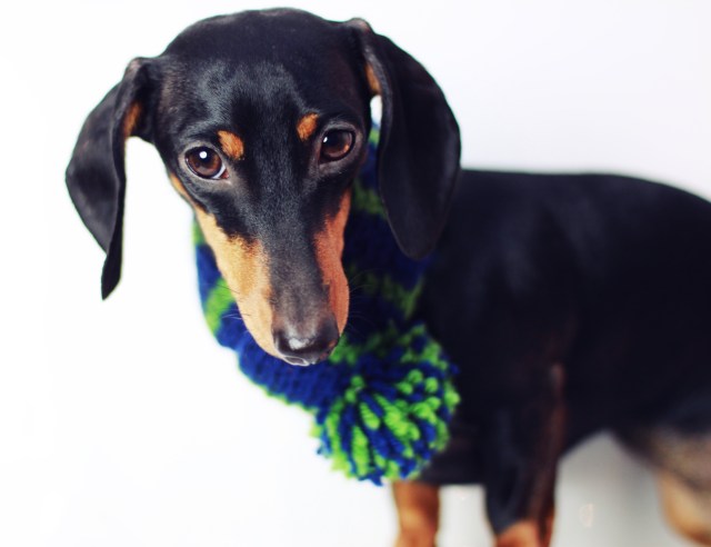 Emily | December 2012.  Photo by: Johnny Ortez-Tibbels 