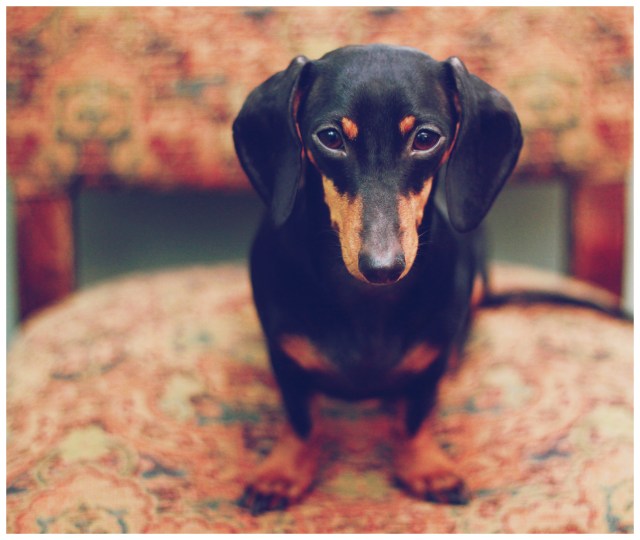 Emily | January 2013. Photo by: Johnny Ortez-Tibbels