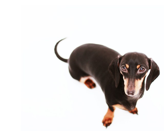 Emily | January 2013. Photo by: Johnny Ortez-Tibbels