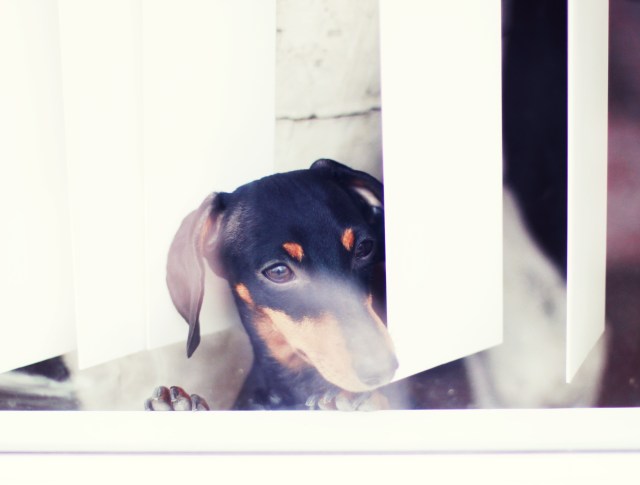 Emily | January 2013.  Photo by: Johnny Ortez-Tibbels 