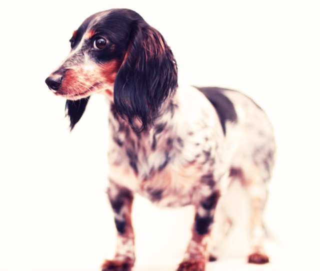 Kyrra | February 2013.  Photo by: Johnny Ortez-Tibbels ©