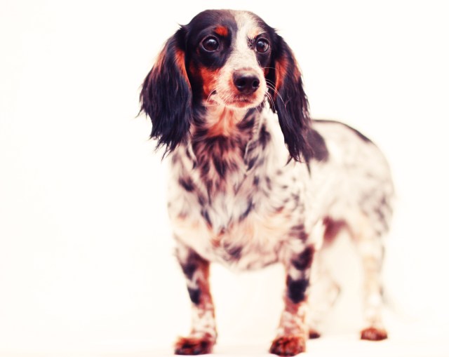 Kyrra | January 2013.  Photo by: Johnny Ortez-Tibbels 