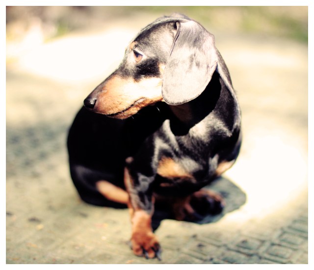 Emily | February 2013.  Photo by: Johnny Ortez-Tibbels ©