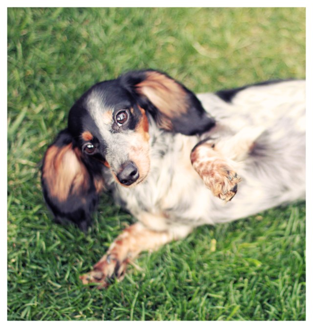 Kyrra | February 2013.  Photo by: Johnny Ortez-Tibbels ©