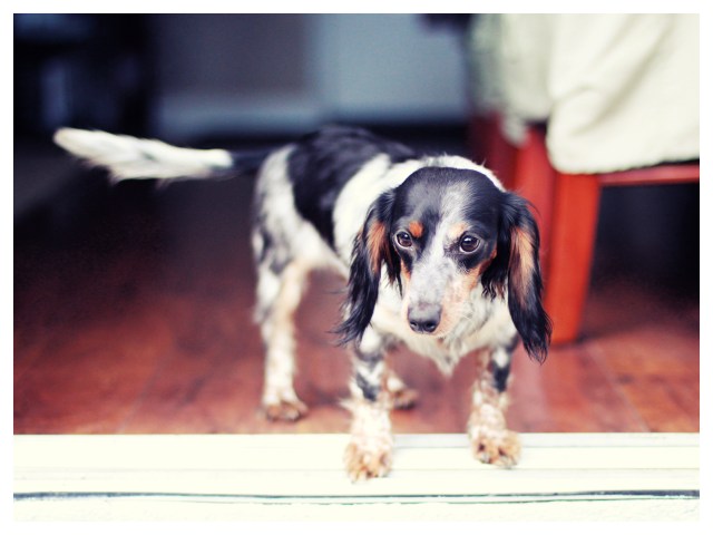 Kyrra | February 2013.  Photo by: Johnny Ortez-Tibbels ©