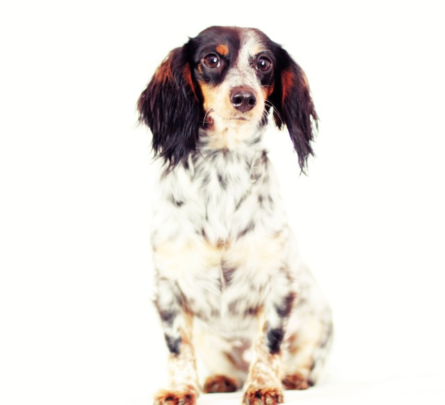 Kyrra | January 2013.  Photo by: Johnny Ortez-Tibbels 