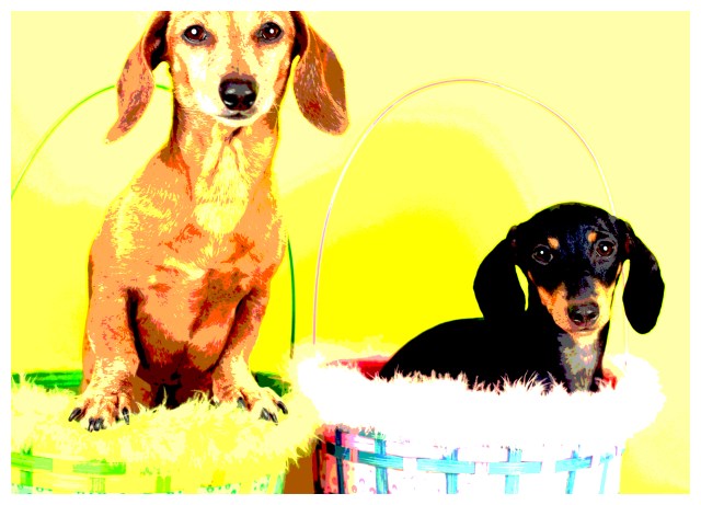 Rufus & Emily | April 2012.  Photo by: Johnny Ortez-Tibbels ©