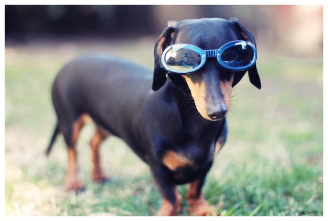 Emily | March 2013.  Photo by: Johnny Ortez-Tibbels ©