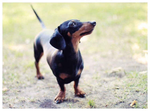 Emily | April 2013.  Photo by: Johnny Ortez-Tibbels ©