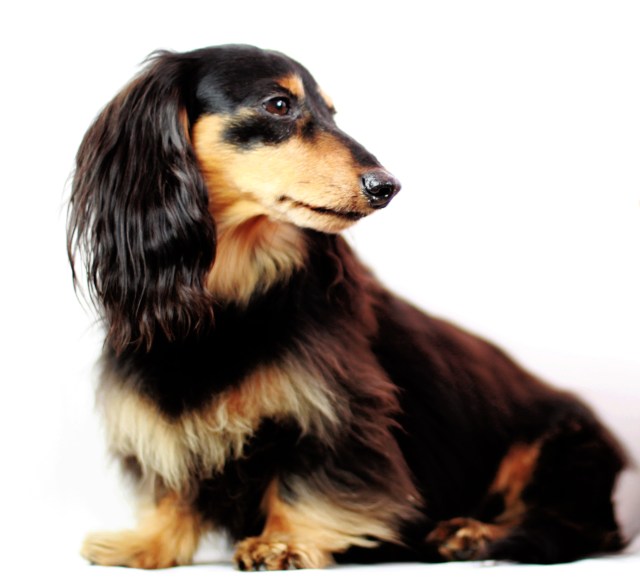 Jake | March 2013.  Photo by: Johnny Ortez-Tibbels ©