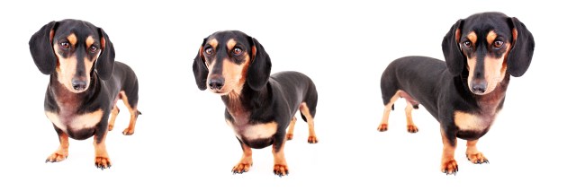 Onslow | May 2011.  Photo by: Johnny Ortez-Tibbels ©