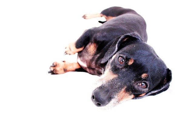 Aly Claire | April 2011.  Photo by: Johnny Ortez-Tibbels ©