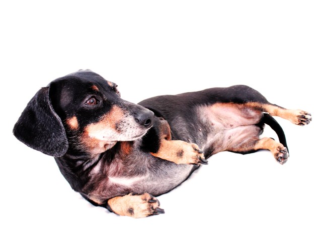 Aly Claire | April 2011.  Photo by: Johnny Ortez-Tibbels ©