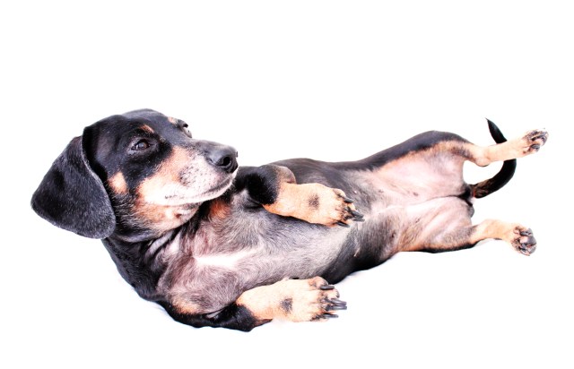 Aly Claire | April 2011.  Photo by: Johnny Ortez-Tibbels ©