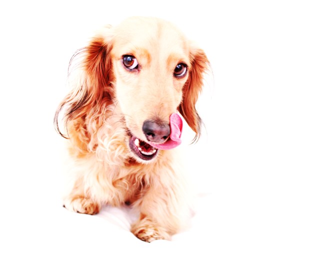 Colin | June 2011.  Photo by: Johnny Ortez-Tibbels ©