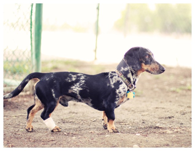 Gideon | May 2013.  Photo by: Johnny Ortez-Tibbels ©