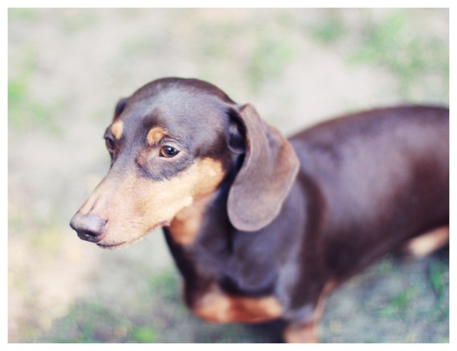 Polie | May 2013.  Photo by: Johnny Ortez-Tibbels ©