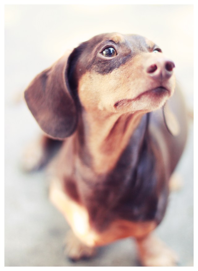 Polie | May 2013.  Photo by: Johnny Ortez-Tibbels ©