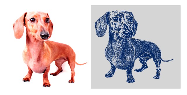 A D.O.G.S and Sugar Bear Designs collaboration for charity.