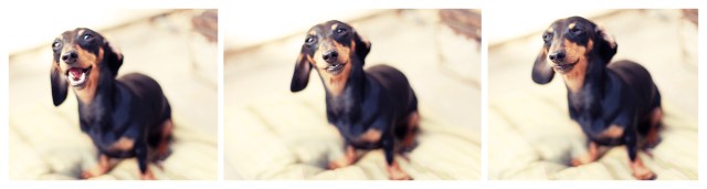 Emily | June 2013. Photo by: Johnny Ortez-Tibbels ©