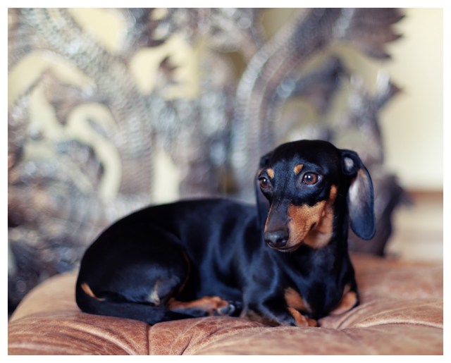 Emily | June 2013.  Photo by: Johnny Ortez-Tibbels ©