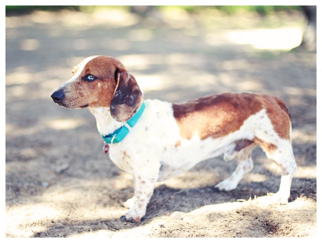 Danny Reggie | June 2013.  Photo by: Johnny Ortez-Tibbels ©