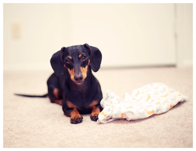 Emily | June 2013.  Photo by: Johnny Ortez-Tibbels ©