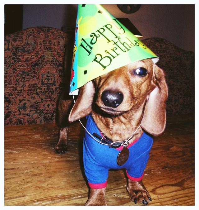 Rufus | August 2005. Photo by: Johnny Ortez-Tibbels ©