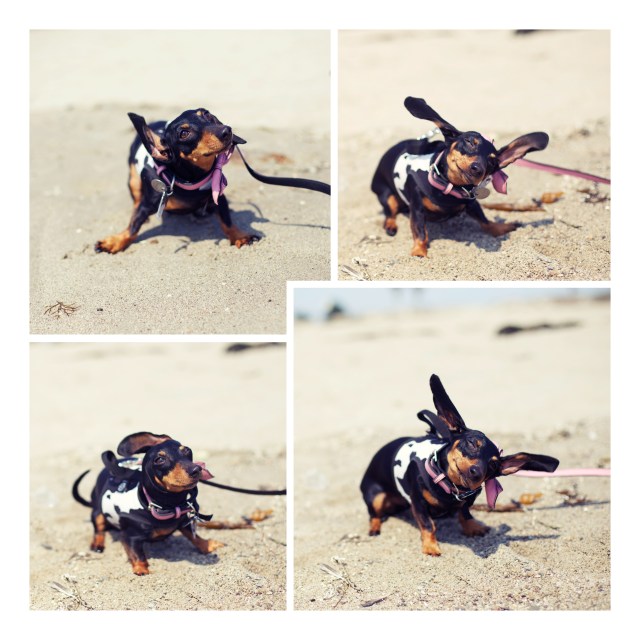 Emily | July 2013.  Photo by: Johnny Ortez-Tibbels ©