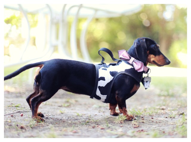 Emily | July 2013. Photo by: Johnny Ortez-Tibbels ©