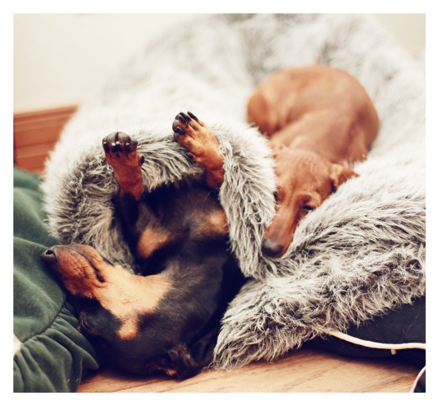 Emily & Lily | July 2013.  Photo by: Johnny Ortez-Tibbels ©