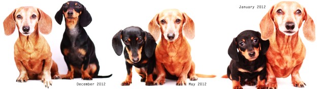 Rufus & Emily.  Photo by: Johnny Ortez-Tibbels ©