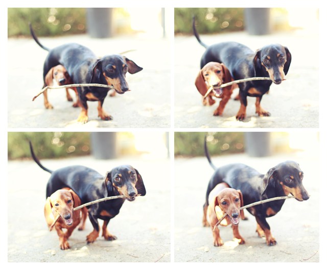 Lily & Emily | July 2013.  Photo by: Johnny Ortez-Tibbels ©