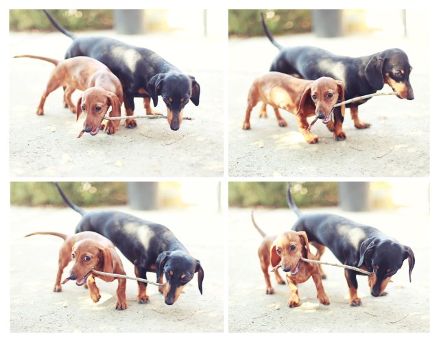Lily & Emily | July 2013.  Photo by: Johnny Ortez-Tibbels ©