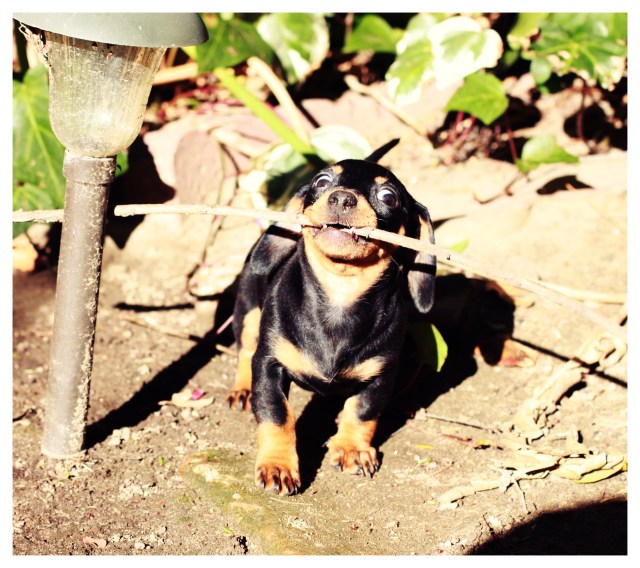 Emily | January 2012.  Photo by: Johnny Ortez-Tibbels ©