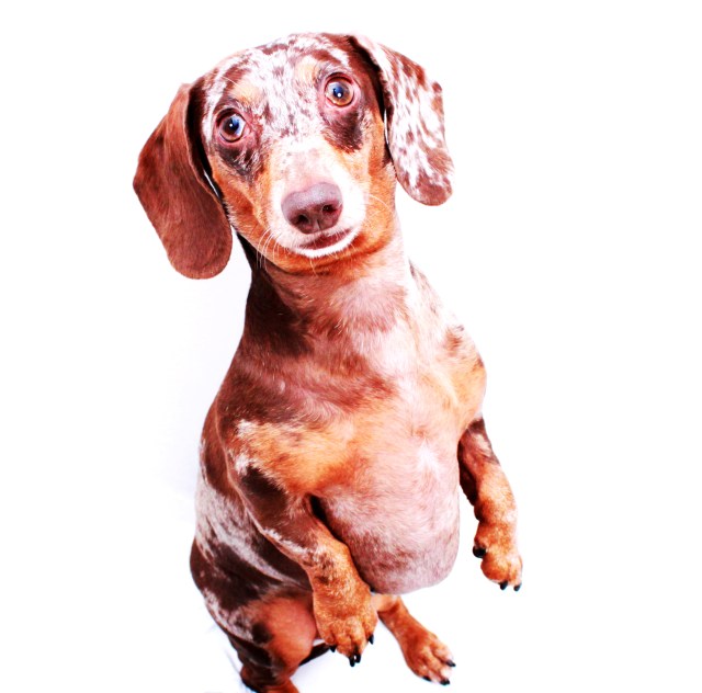 Helen | 2011.  Photo by: Johnny Ortez-Tibbels ©