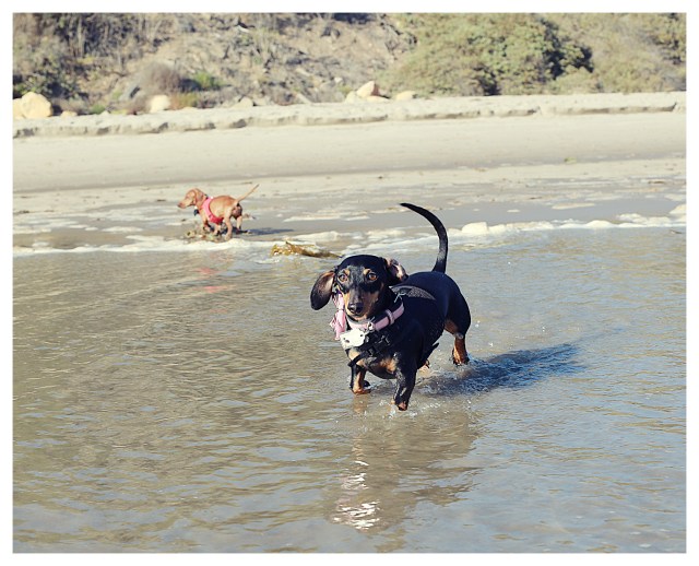 Emily | September 2013. Photo by: Johnny Ortez-Tibbels ©