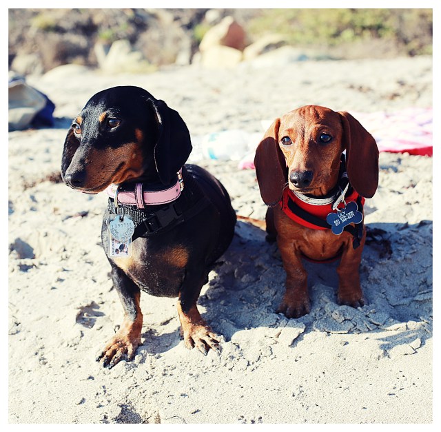 Emily & Lily | September 2013.  Photo by: Johnny Ortez-Tibbels ©