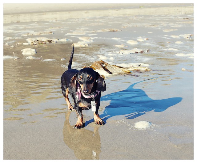 Emily | September 2013. Photo by: Johnny Ortez-Tibbels ©
