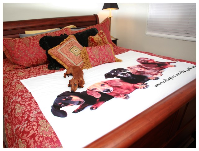 King size bed | September 2013. Photo by: Johnny Ortez-Tibbels ©