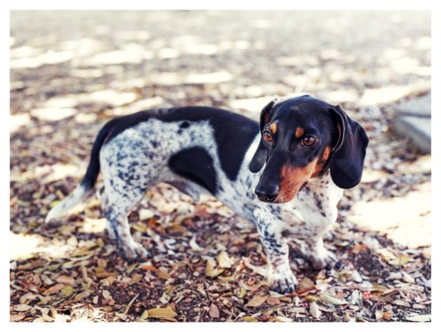 Theodore | September 2013.  Photo by: Johnny Ortez-Tibbels ©